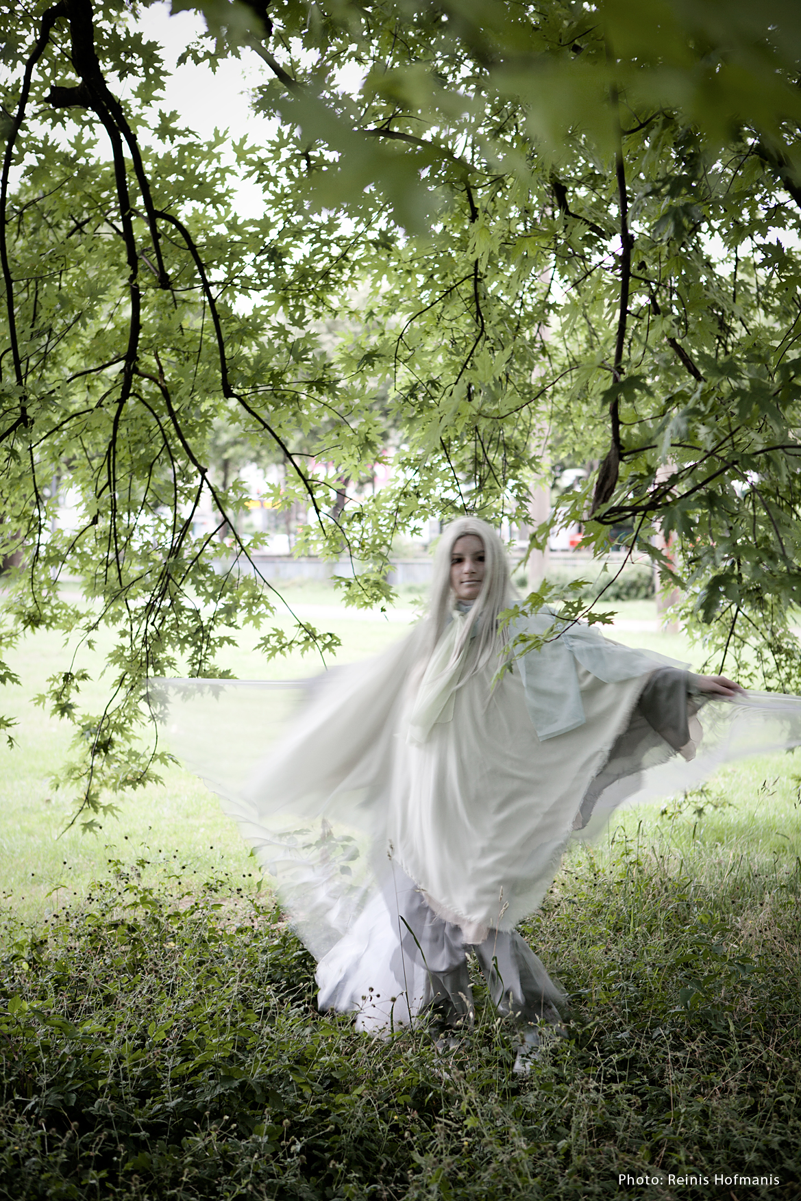 Bild: Luft-Elementar.